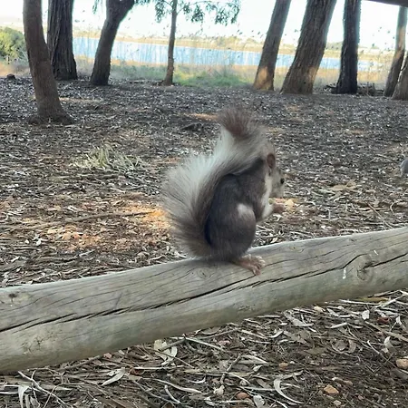 Apartament Torrevieja Torrevieja