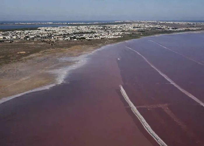 Apartament Torrevieja Apartment Torrevieja