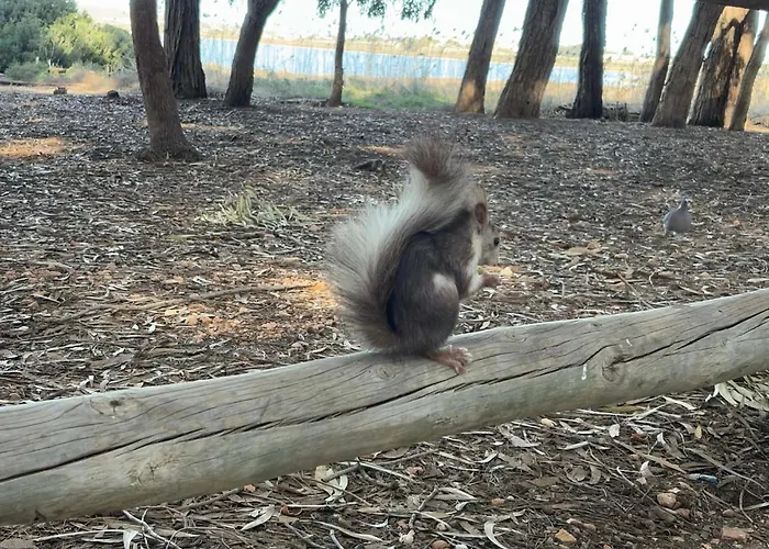 Apartament Torrevieja Torrevieja