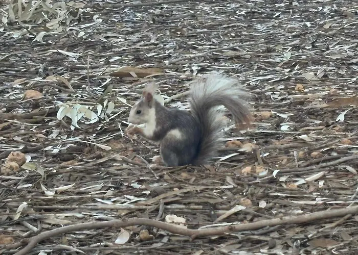 Apartament Torrevieja *